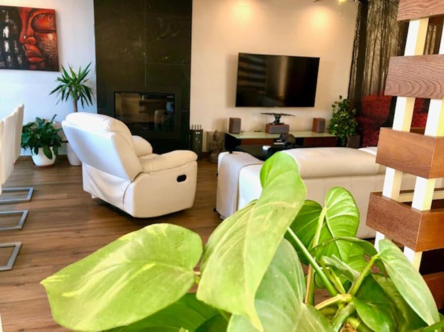 Modern Zen Bali Hotell Puerto Real Exteriör bild